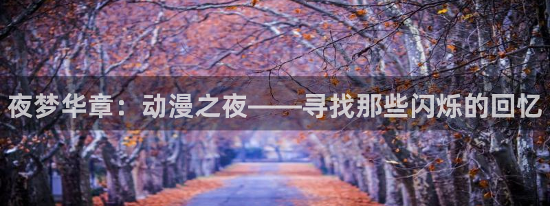 bt动漫天堂：夜梦华章：动漫之夜——寻找那些闪烁的回忆