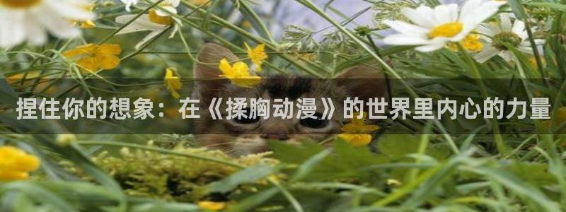 动漫天堂免费观看：捏住你的想象：在《揉胸动漫》的世界里内心的力量
