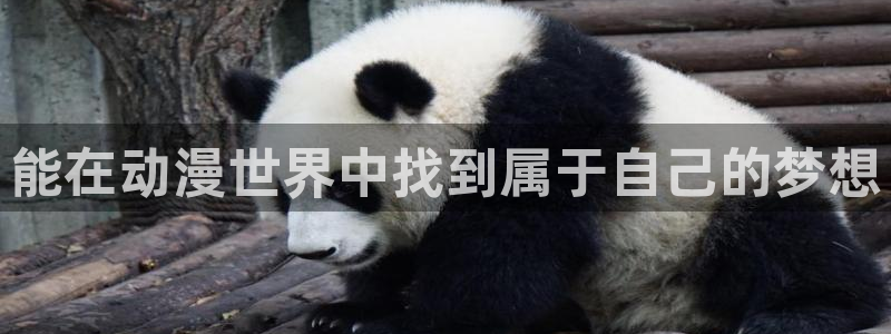 番剧推荐动漫天堂.：能在动漫世界中找到属于自己的梦想