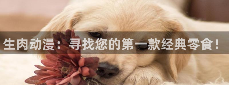 天堂动漫免费网站入口：生肉动漫：寻找您的第一款经典零食！