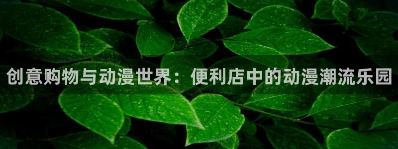同居天堂动漫：创意购物与动漫世界：便利店中的动漫潮流乐园